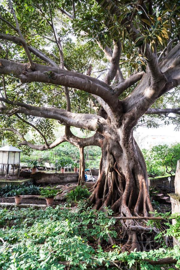 Affittacamere La Magnolia Bacoli Bagian luar foto